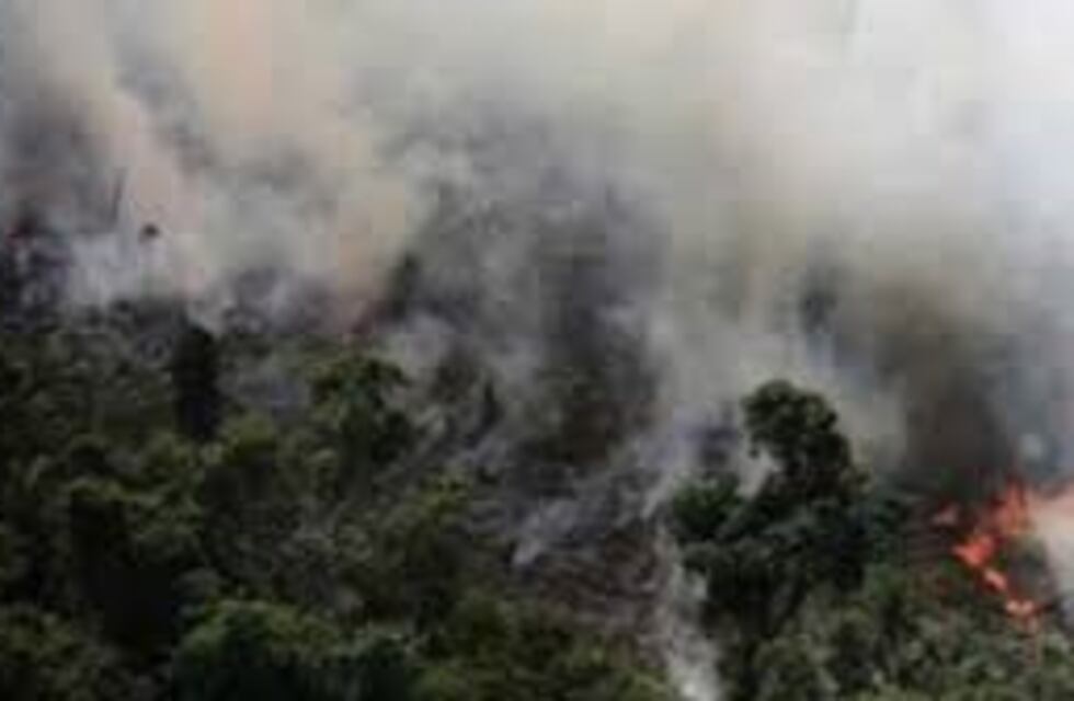 Una nube de monóxido de carbono cubre el cielo de Misiones