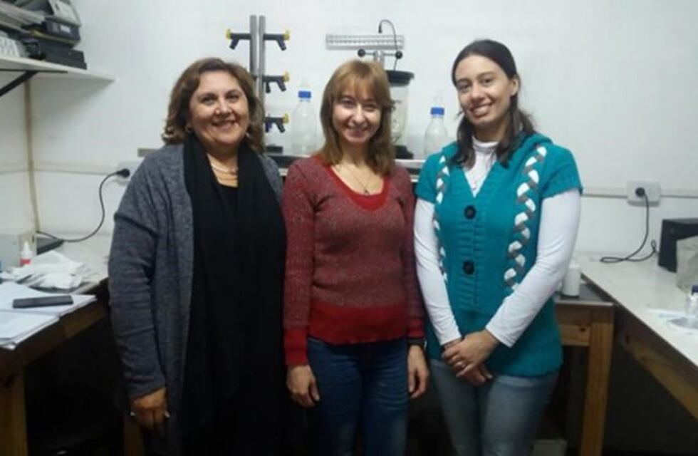 Científicas tucumanas buscan crear "aspirinas verdes" con plantas de la Puna