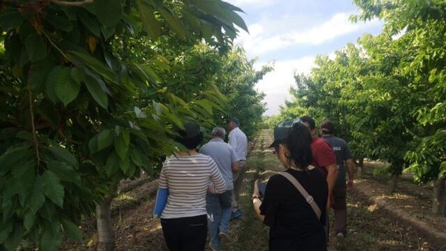 Visita de técnicos chinos a Mendoza