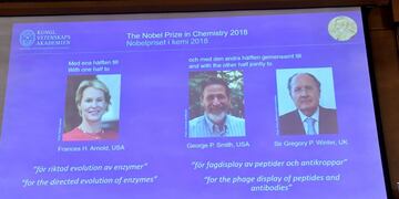 Arnold, Smith y Winter ganaron el Nobel de Química por el desarrollo de proteínas\u002E (AP)