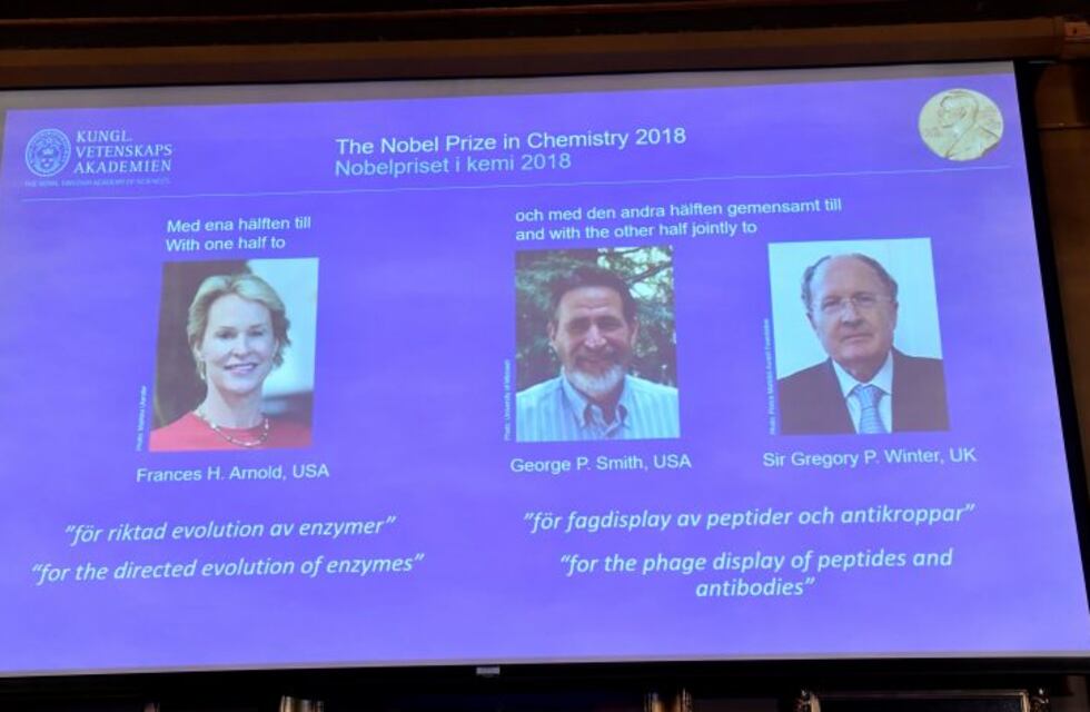 Arnold, Smith y Winter ganaron el Nobel de Química por el desarrollo de proteínas