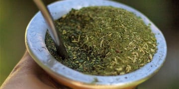 Yerba mate\u002E (Archivo)