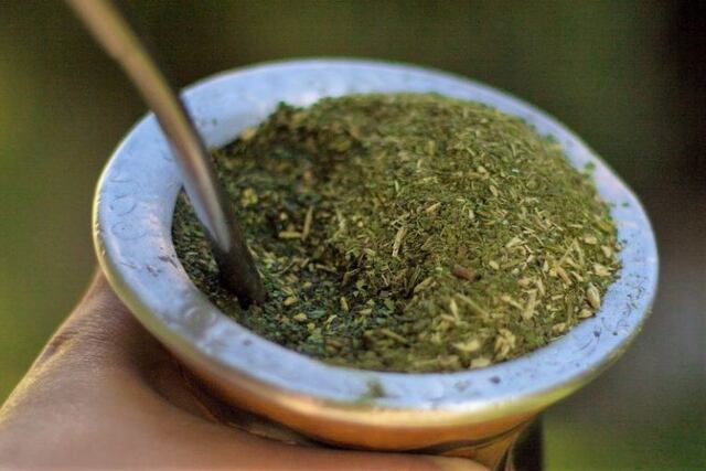 yerba mate imagen ilustrativa