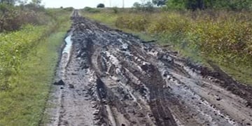 Es dramática la situación en tambos entrerrianos tras las intensas lluvias