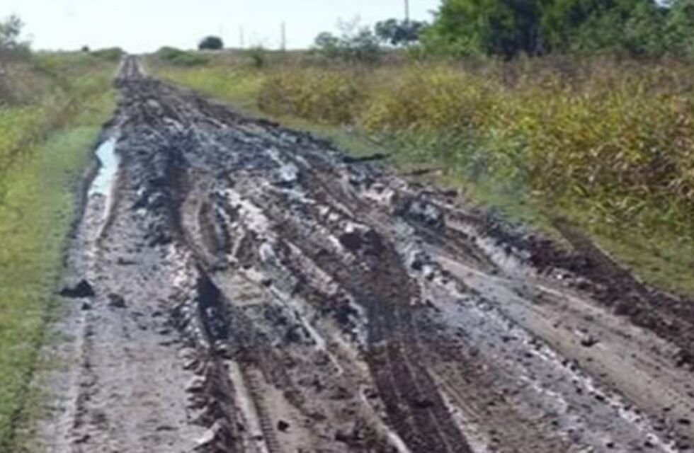 Es dramática la situación en tambos entrerrianos tras las intensas lluvias