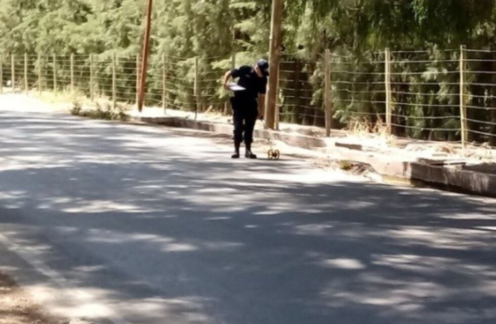 San Juan: un colectivo atropelló a dos hermanitos, el más pequeño falleció