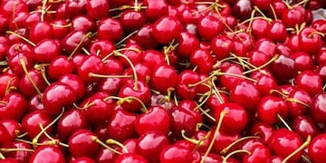 "La producción de cerezas tiene un alto potencial en la Argentina", afirmó el ministro Etchevehere