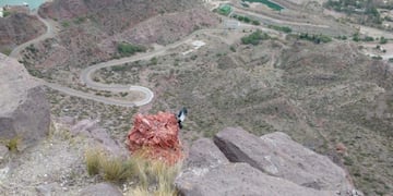 Condor Valle Grande