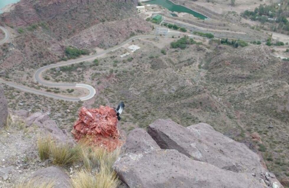 Pidió ayuda porque creyó que el novio había caído de un cerro y cuando fueron a rescatarlo no lo podían creer