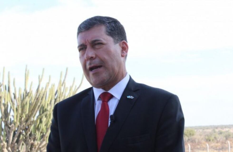 Salzwedel: "El Tribunal Electoral trabaja como una colectora de Sergio Casas"