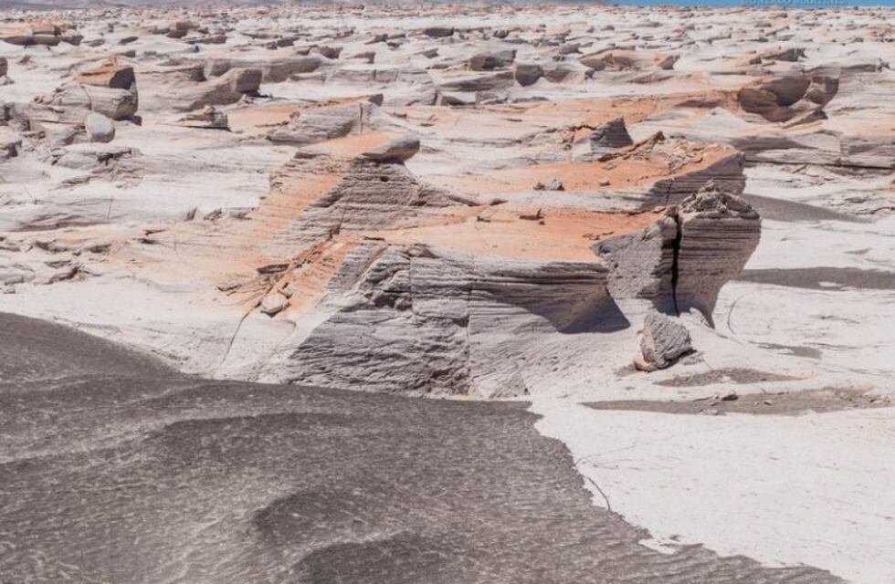 Por el dengue y el coronavirus cancelaron las visitas a todas las Áreas Naturales Protegidas