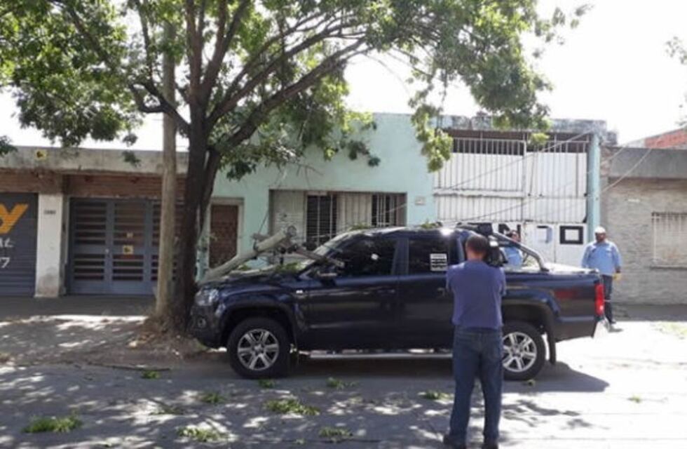 Un camión arrancó el cableado y tumbó una columna que cayó sobre una camioneta