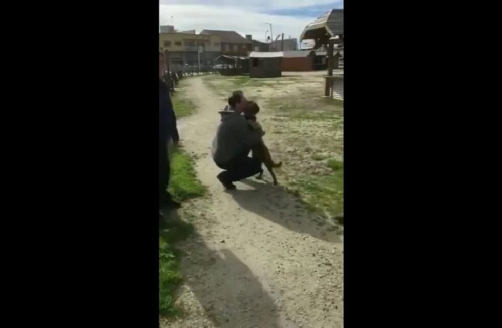 El emotivo reencuentro de un perro con su dueño luego de tres años