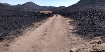 Zonas afectadas por los incendios en Córdoba (Brigada Forestal Chavascate)