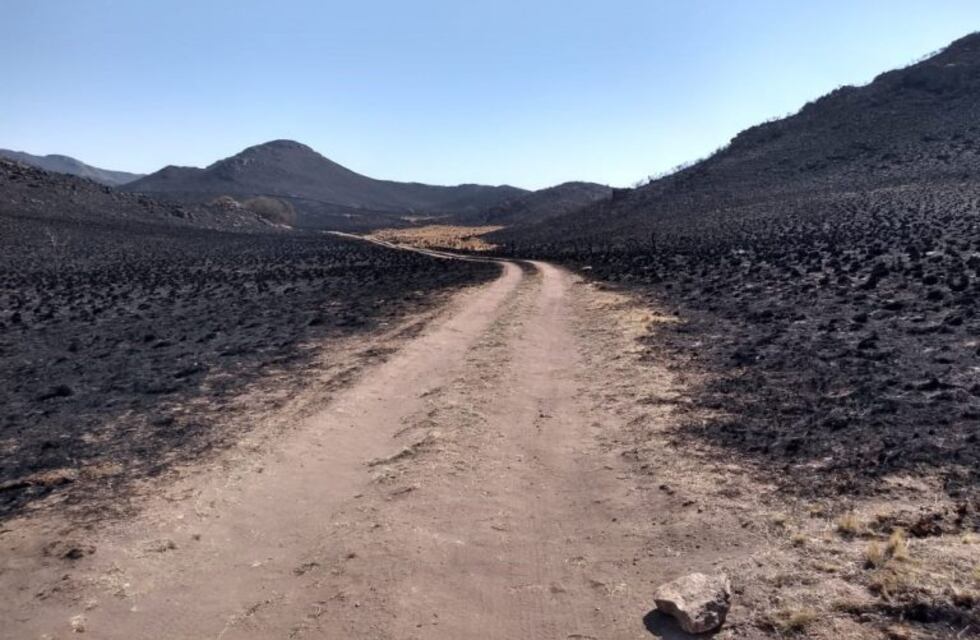 Incendios: en 18 años se quemaron 700.385 hectáreas en Córdoba