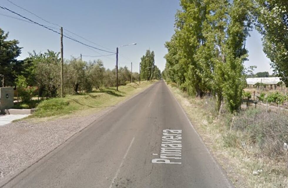 Se le cayó un árbol encima y está en grave estado