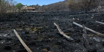 Incendios forestales en San Luis