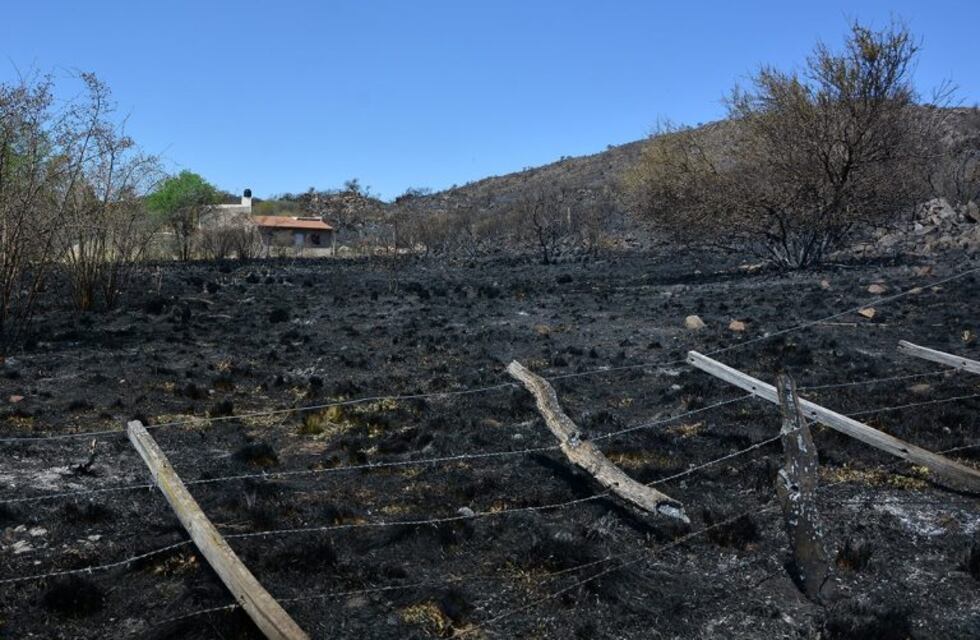 Aseguran que los incendios forestales en San Luis fueron intencionales