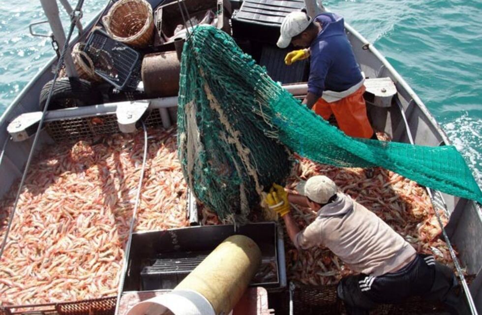Cámaras pesqueras repudian bloqueo gremial a poco de iniciada la temporada del langostino