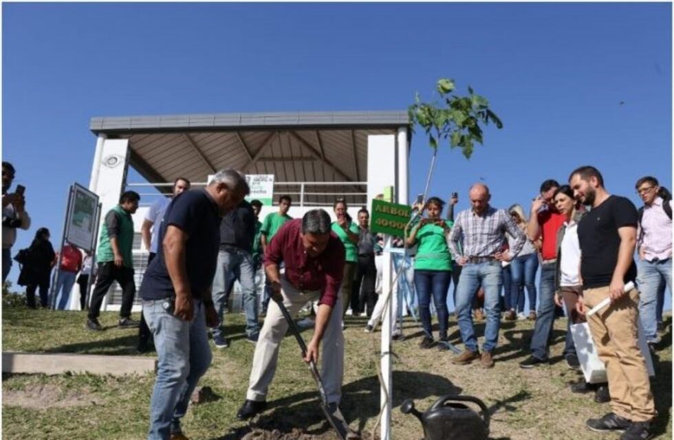 Resistencia: más de 40.000 árboles implantados en cuatro años