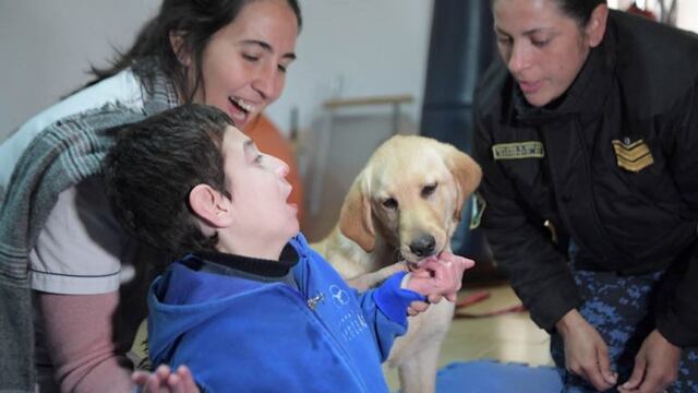 Lola y Zoe, las perritas de la División Canes de la Policía que ayudan en su terapia a chicos con discapacidad\u002E (Prensa Gobierno)