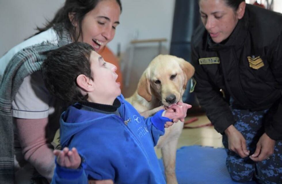 Lola y Zoe, las cachorritas que mejoran con su "terapia" a niños con discapacidad
