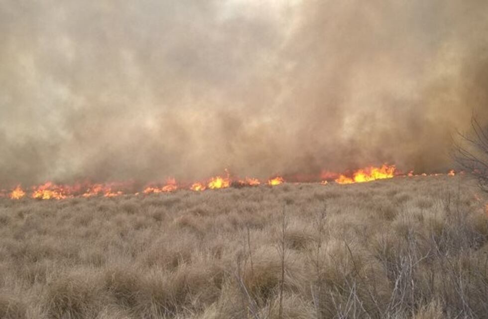 Detuvieron a un productor rural en Morteros que encendió fuego en un campo