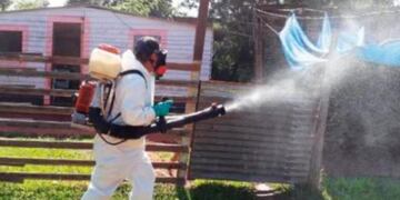 EL comité se encargará de poner en marcha las medidas nacionales\u002E