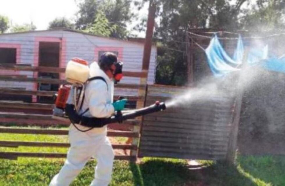 Wanda convocó a un Comité de Emergencia por el dengue y el coronavirus