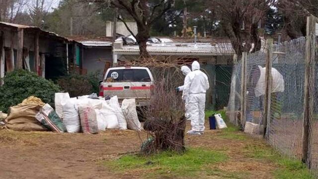 Abigeato en Doblas (El Diario)