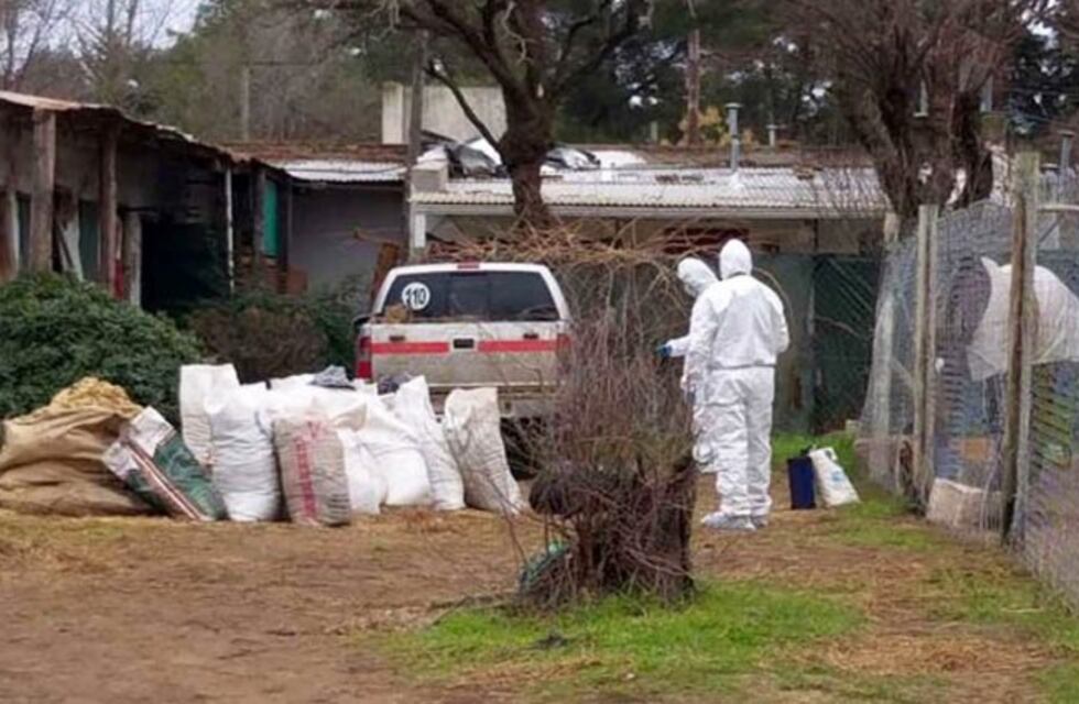 Faenó una vaca en Doblas y escapó de la policía a los tiros y arrojando miguelitos