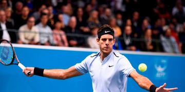 Juan Martín del Potro se consagró campeón en Estocolmo\u002E Foto: AFP\u002E