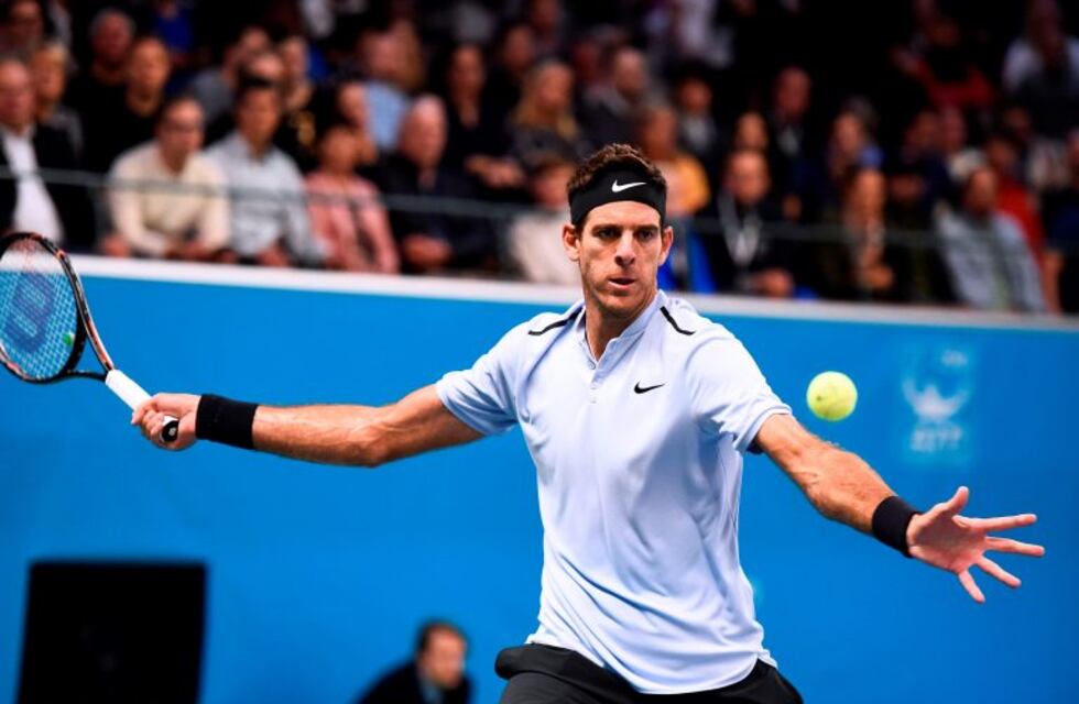 Juan Martín del Potro venció a Grigor Dimitrov y se consagró campeón del ATP de Estocolmo