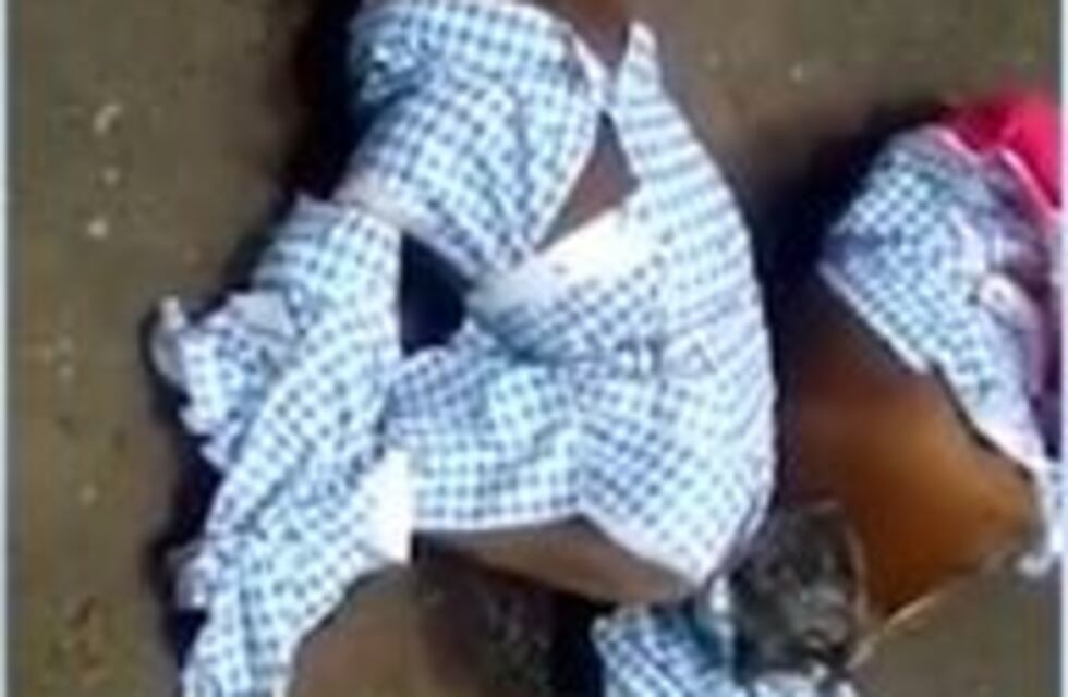 México: hallan perros ejecutados al estilo narco