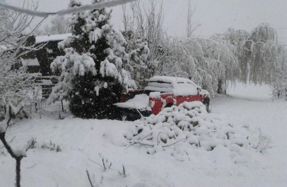 Mendoza volvió a vivir un día vestida de blanco