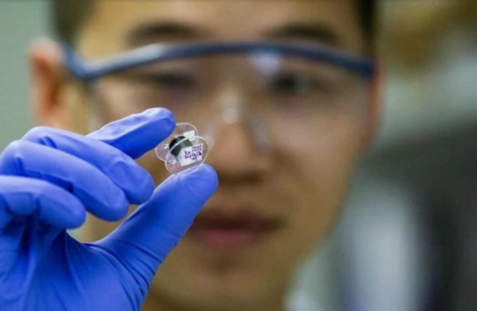 Desarrollan fibras capaces de restaurar la electricidad del corazón