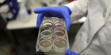 Pagarán U$S4600 a voluntarios que se dejen infectar con coronavirus en busca de la vacuna