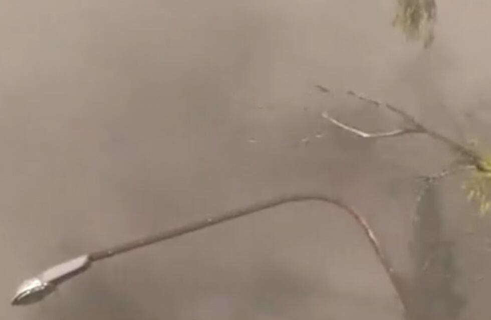 Incendio en un monte lindero a la planta de celulosa de Capitán Bermúdez