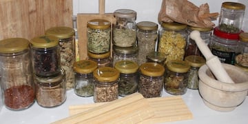 Hierbas aromáticas