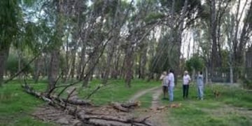 Se dictó la condena por la muerte de Daiana Herlein