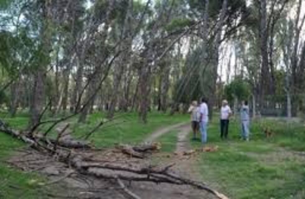 Cinco años de prisión para Marcelo Caramelli por la muerte de Daiana Herlein