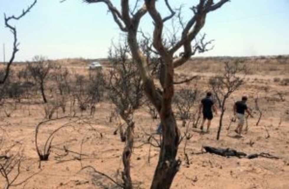 El director nacional de manejo del fuego dio detalles sobre los incendios en Mendoza