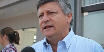 Tratado Mercosur  Unión Europea: Peppo pidió proteger a la industria