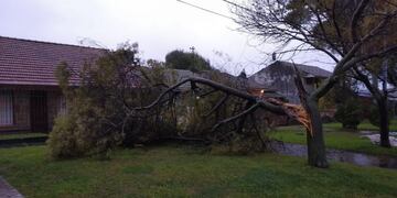 Por el temporal, 17 familias fueron evacuadas en Mar del Plata (Foto: Servicios Urbanos @EMSUR_MGP)