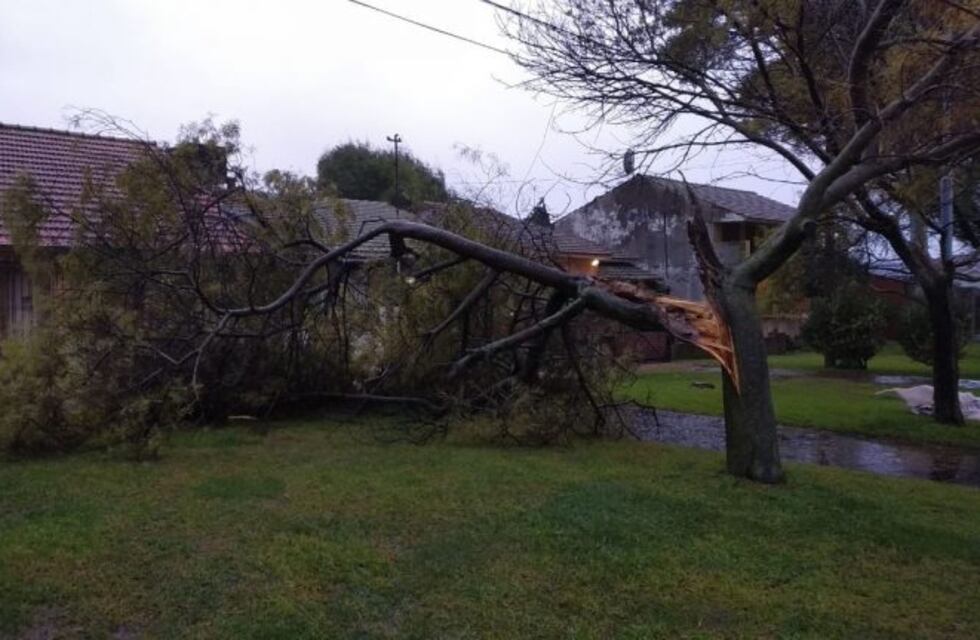 Por el temporal, 17 familias fueron evacuadas en Mar del Plata