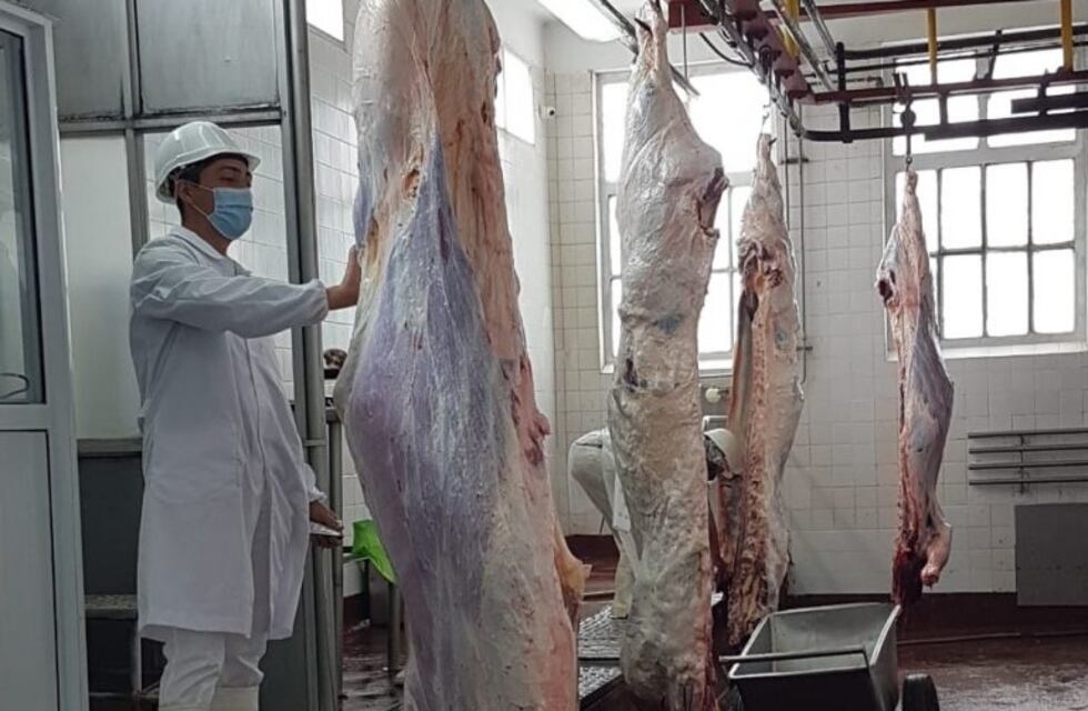 China suspendió a un frigorífico de La Plata tras detectar covid en un empaque externo