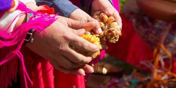 Ofrendas a la Pachamama