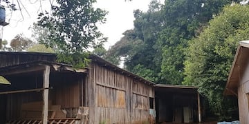 Los dueños valuaron en 350 mil pesos el material robado\u002E