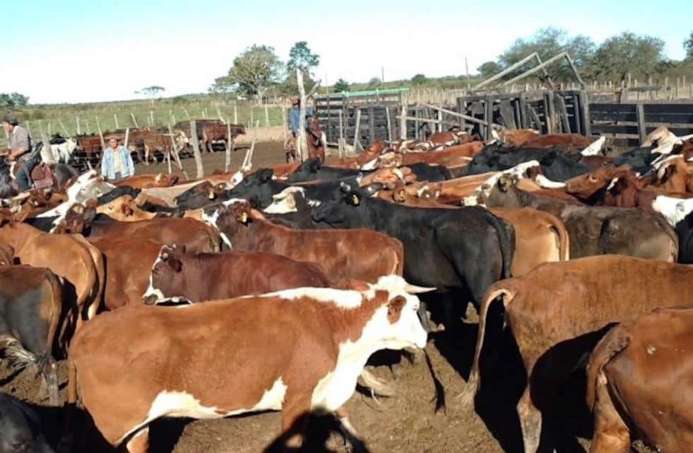 Investigan importante robo de hacienda