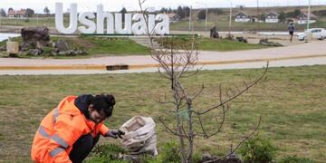 Tareas de mantenimiento Ushuaia